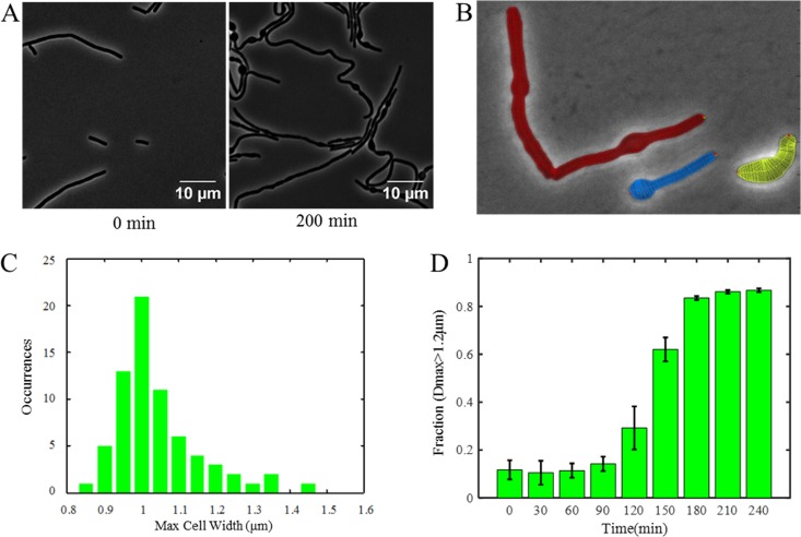 FIG 4