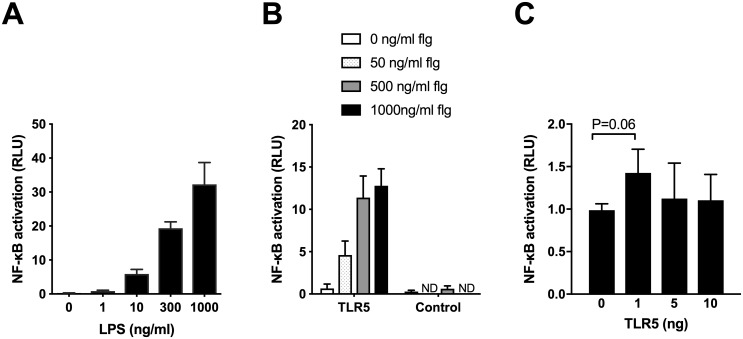 Fig 6