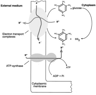 FIG. 5