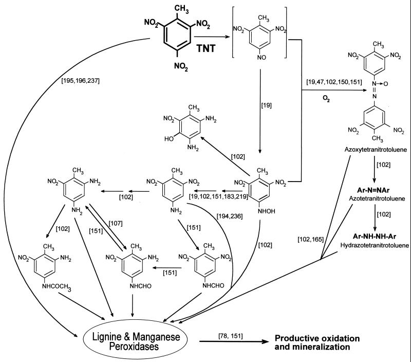 FIG. 6