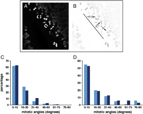 Supplementary Fig. 6