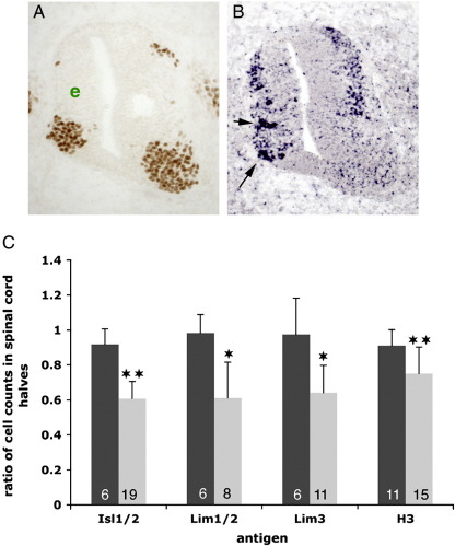 Supplementary Fig. 5