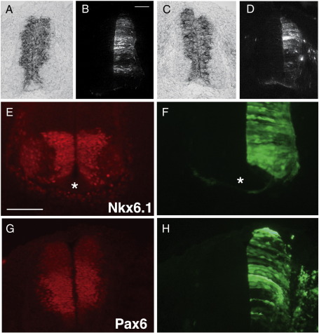 Fig. 4