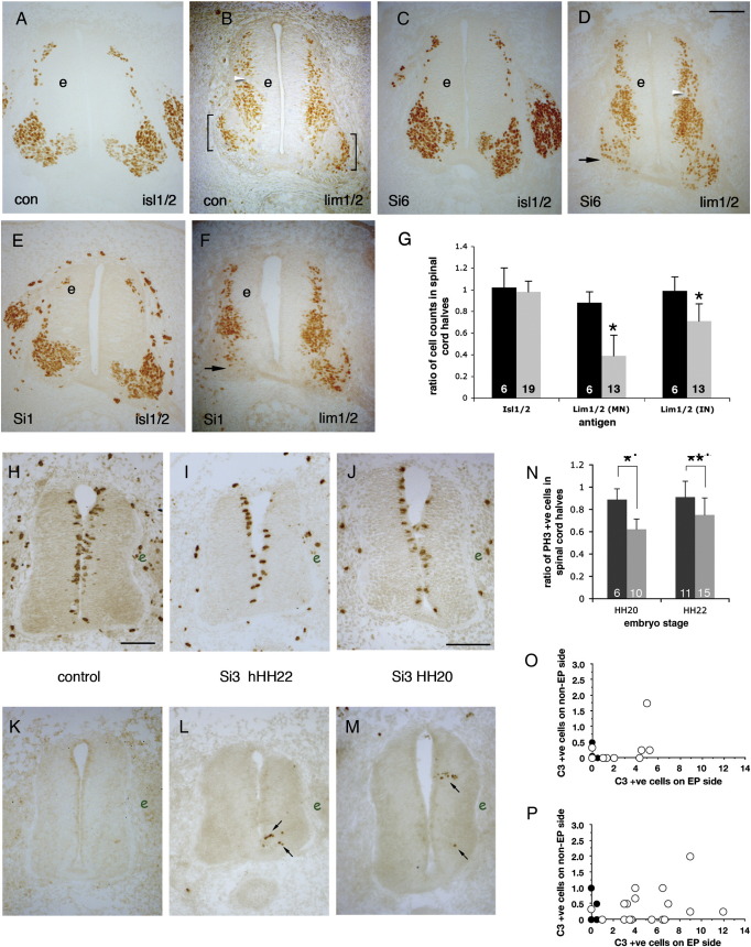 Fig. 3