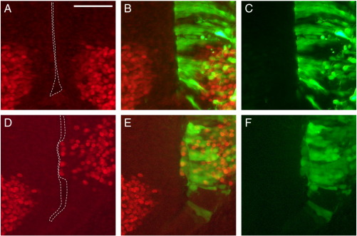 Supplementary Fig. 8