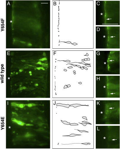 Fig. 7