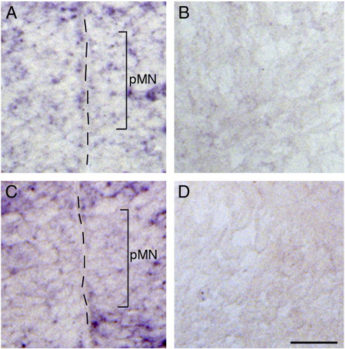 Supplementary Fig. 2