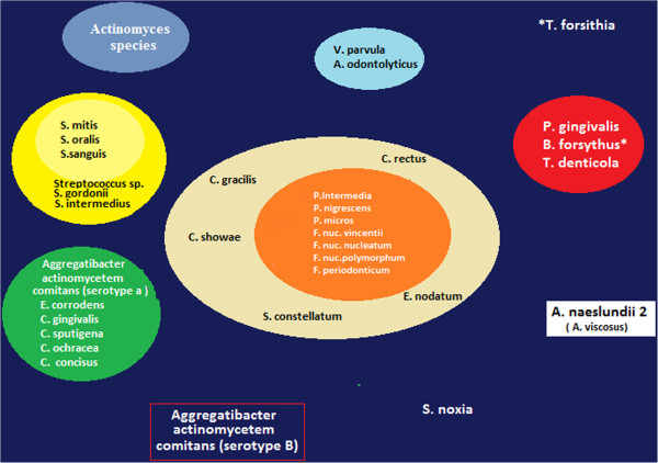 Figure 15