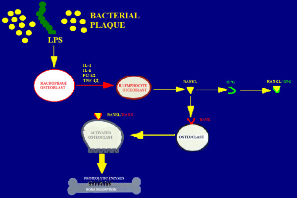 Figure 18