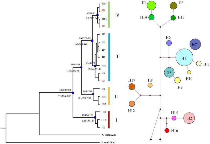 Fig 3