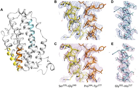 Fig. 2