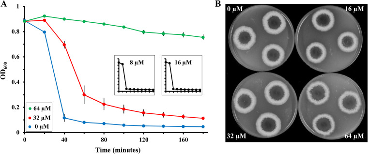 FIG 4