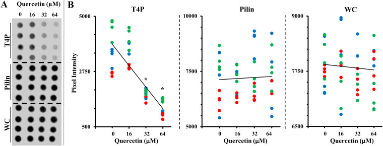 FIG 5