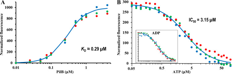 FIG 1