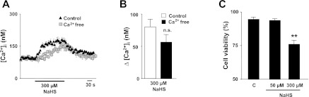 Fig. 8.