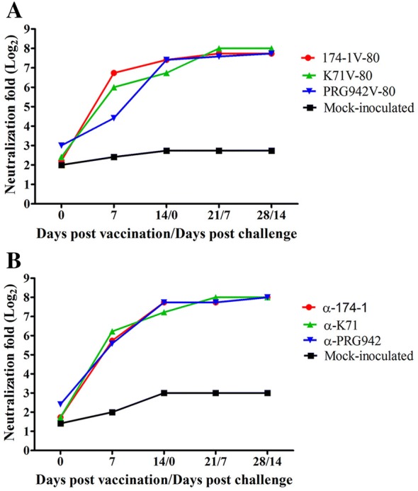 Figure 3