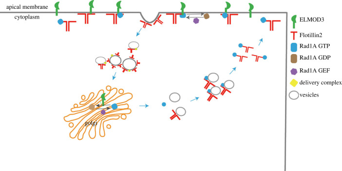 Figure 5. 