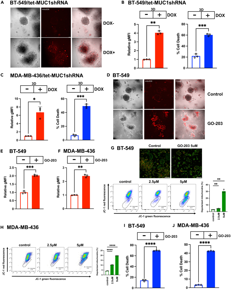 Figure 6