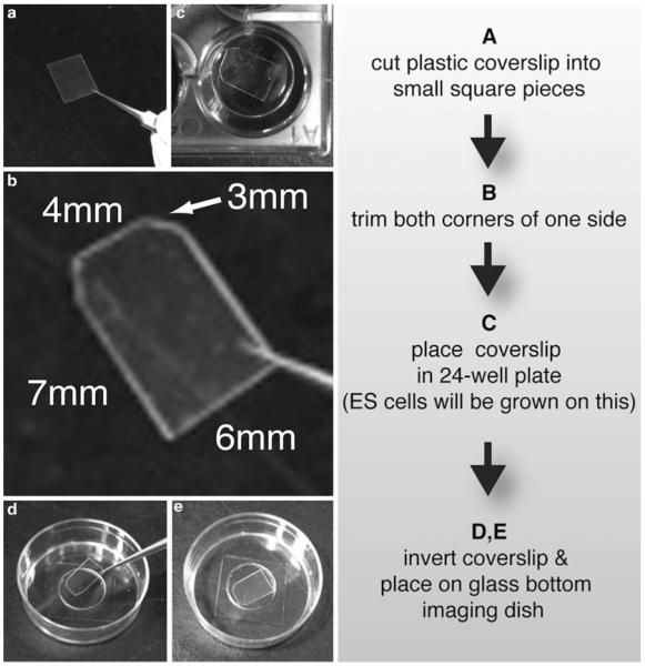 Fig. 3