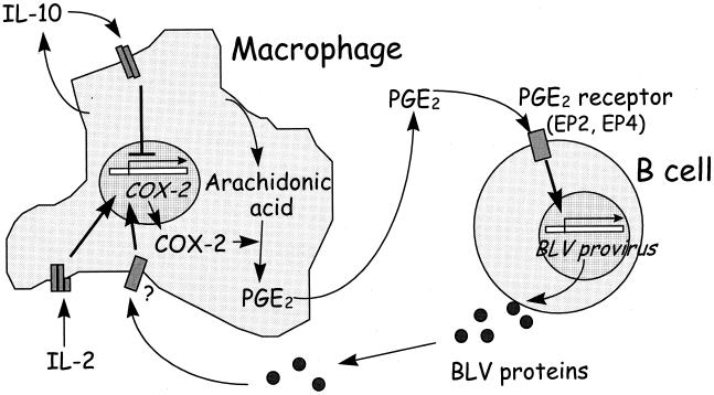 FIG. 5