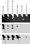 FIG. 4.