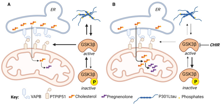 Figure 7