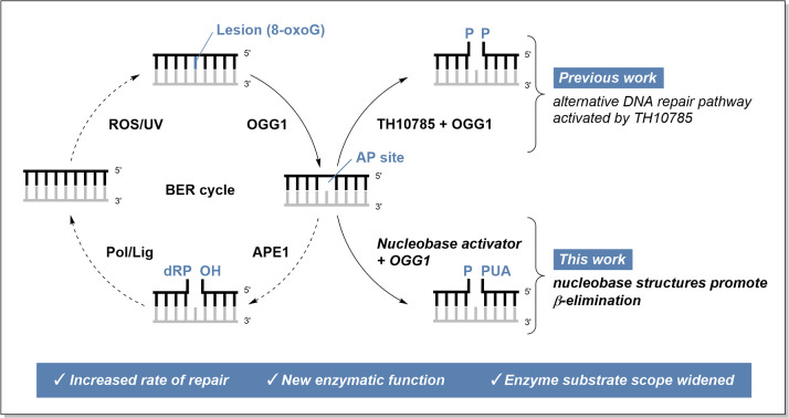 graphic file with name d4cb00323c-ga.jpg