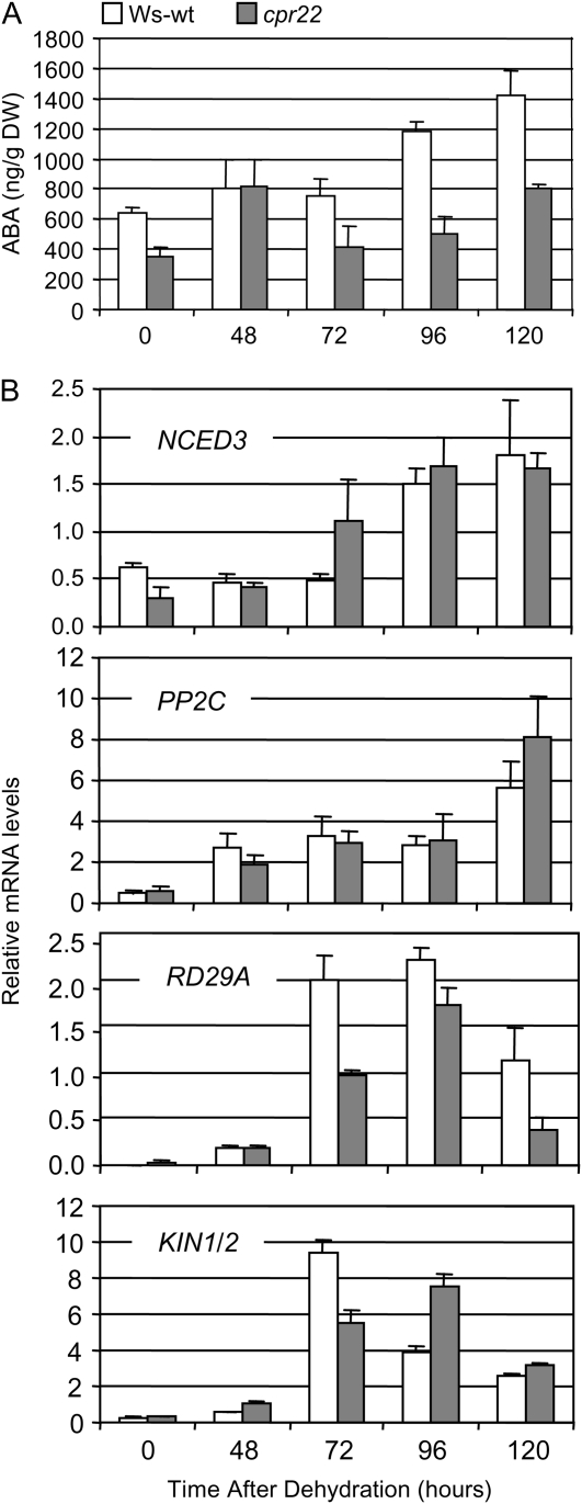 Figure 7.