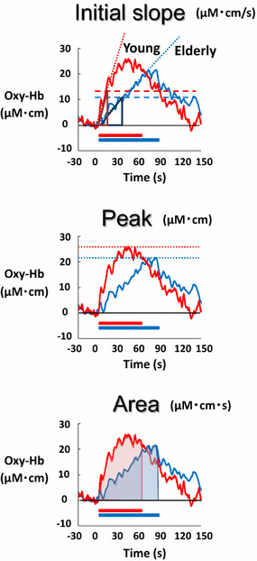 Fig. 2