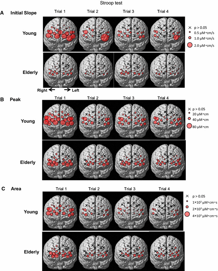 Fig. 4