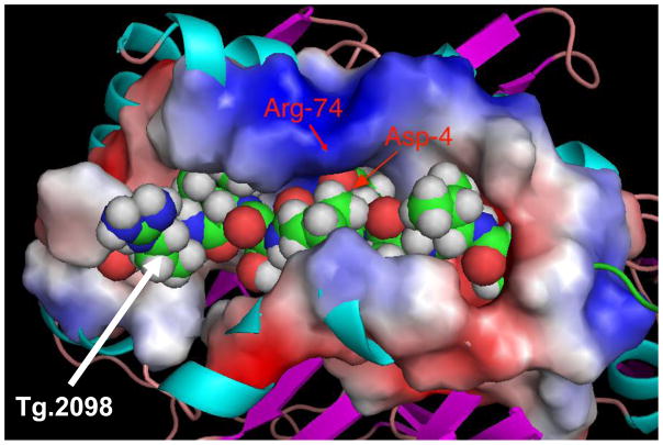 Figure 4