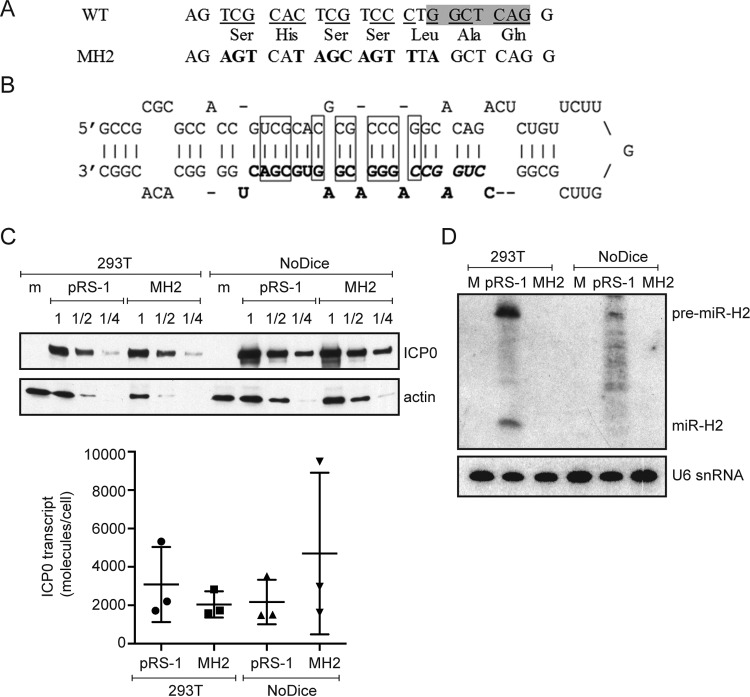 FIG 2