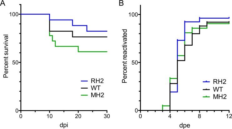 FIG 6