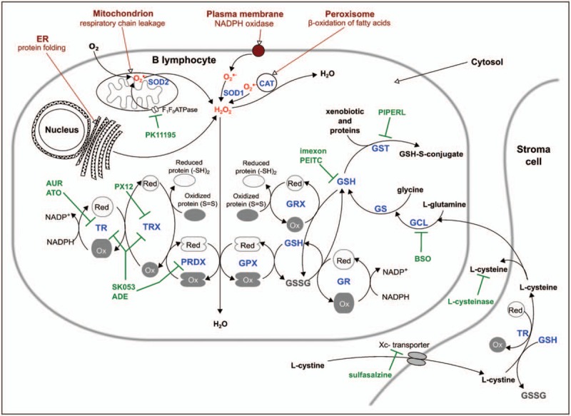 FIGURE 1