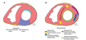 Fig. (2)