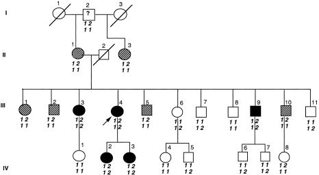 Figure  2