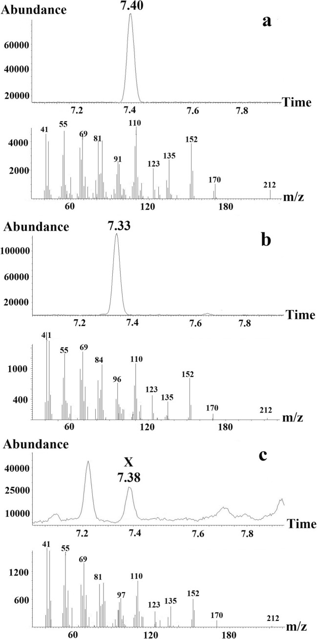 Fig. 8