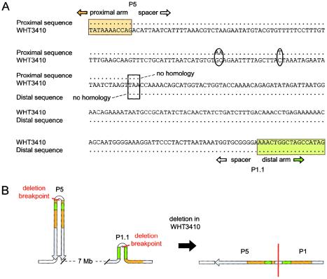 Figure  4