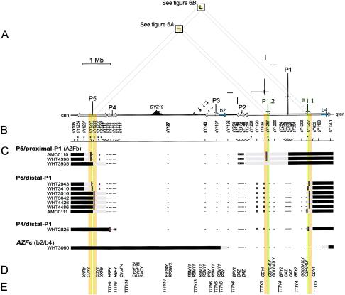 Figure  1