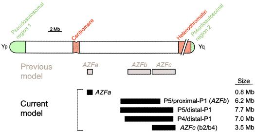 Figure  7