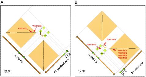 Figure  6