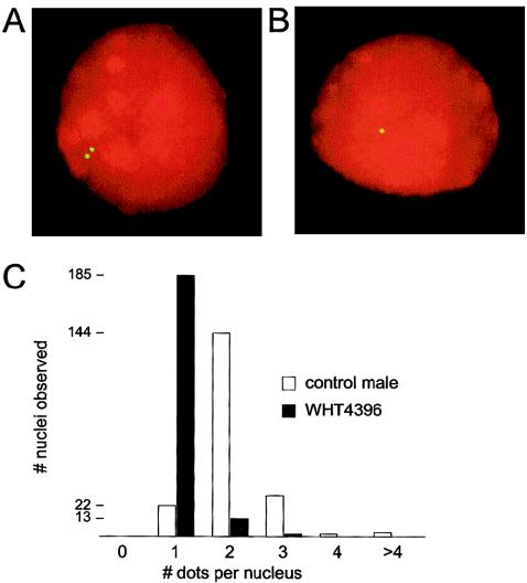 Figure  2