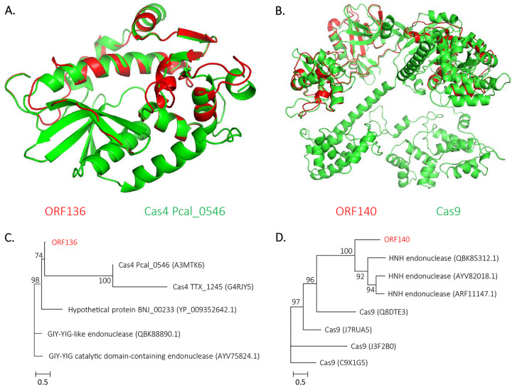 FIG 10