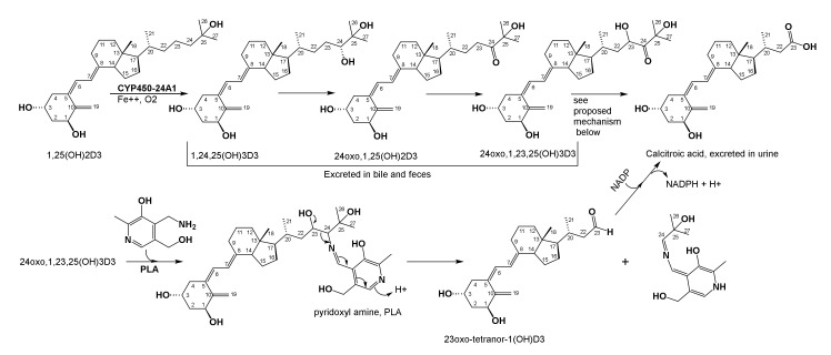 Figure 9