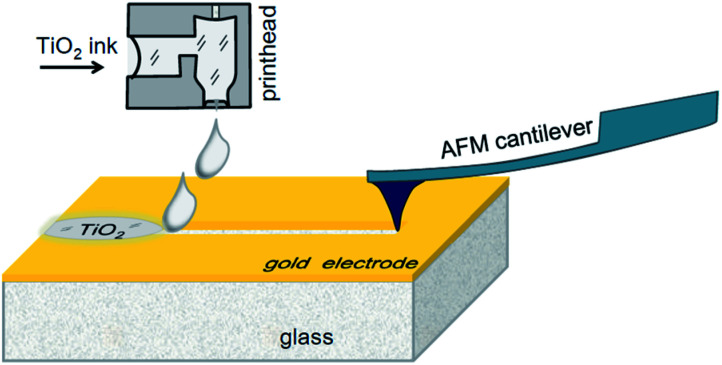 Fig. 1