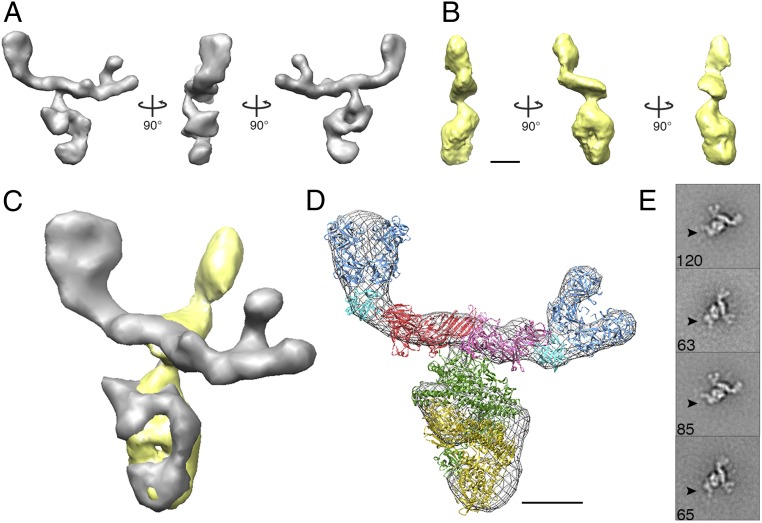 Fig. 3.