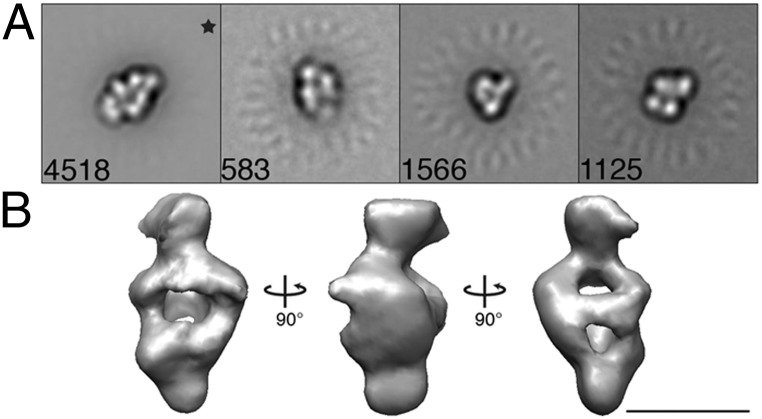 Fig. 5.