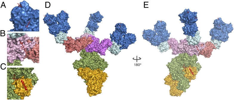 Fig. 6.