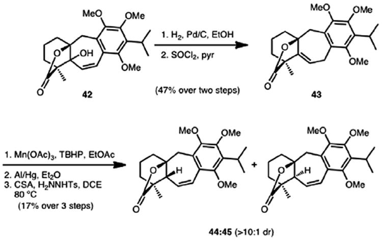 Scheme 11