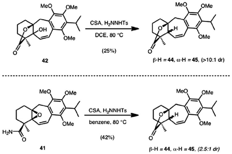 Scheme 12